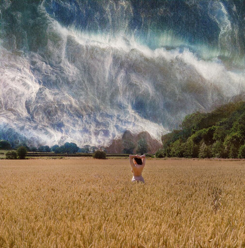 Canvas I: Yorkshire Wheat Field 